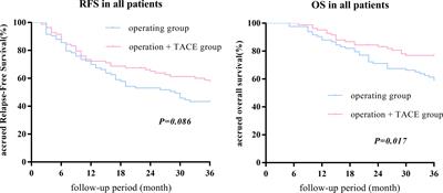 Evaluation of the Therapeutic Effect of Adjuvant Transcatheter Arterial Chemoembolization Based on Ki67 After Hepatocellular Carcinoma Surgery